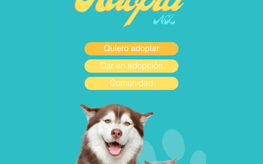 DDI Interactivo: Adopta N.L.