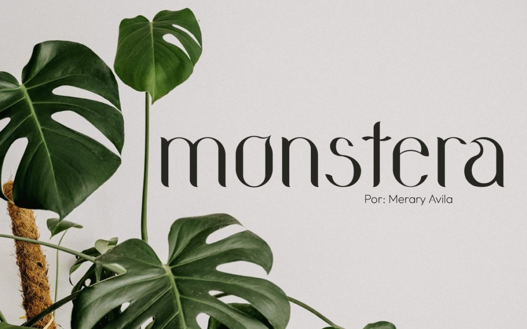 Monstera